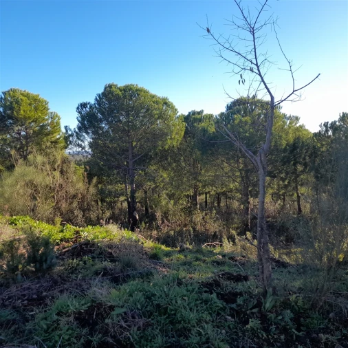 Quinta T5 para Venda em Escalos de Baixo e Mata Foto 24