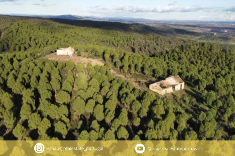 Quinta T5 para Venda em Escalos de Baixo e Mata Foto 31