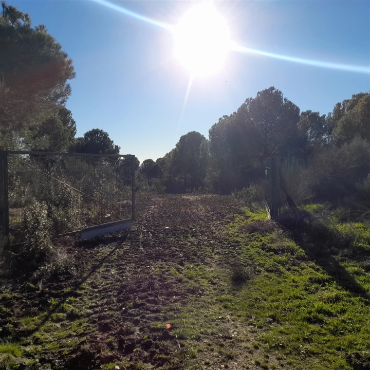 Quinta T5 para Venda em Escalos de Baixo e Mata Foto 22