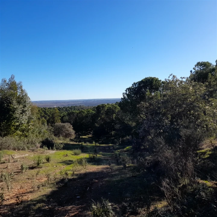 Quinta T5 para Venda em Escalos de Baixo e Mata Foto 28