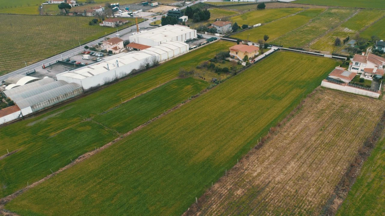 Terreno Misto para Venda em Abade de Neiva Foto 2