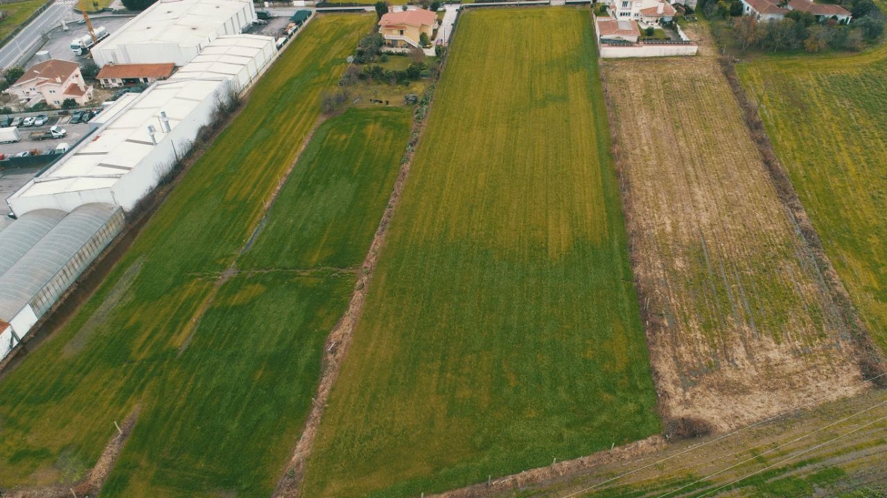Terreno Misto para Venda em Abade de Neiva Foto 6