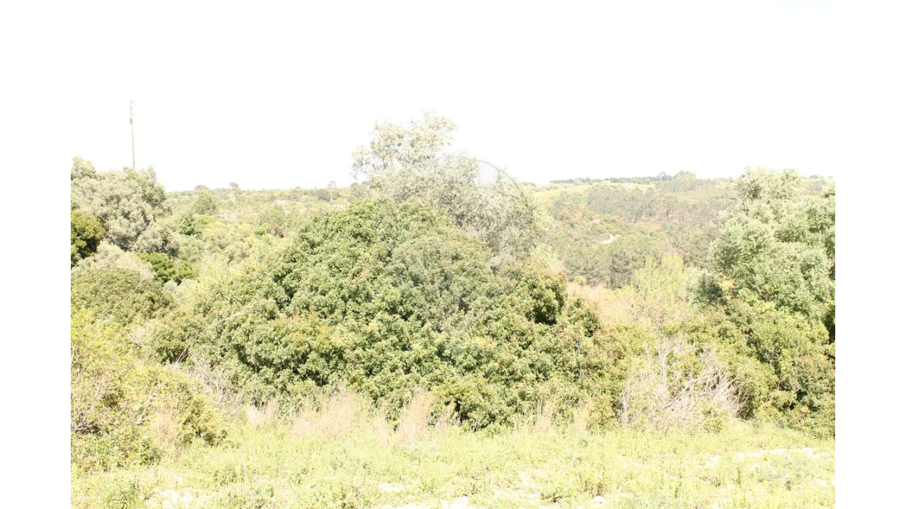 Terreno para Venda em Aveiras de Baixo Foto 8