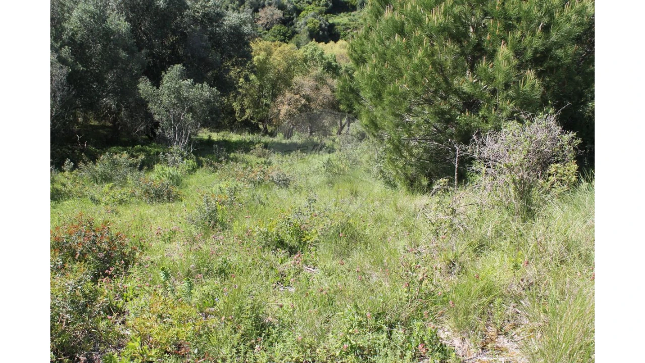 Terreno para Venda em Aveiras de Baixo Foto 25