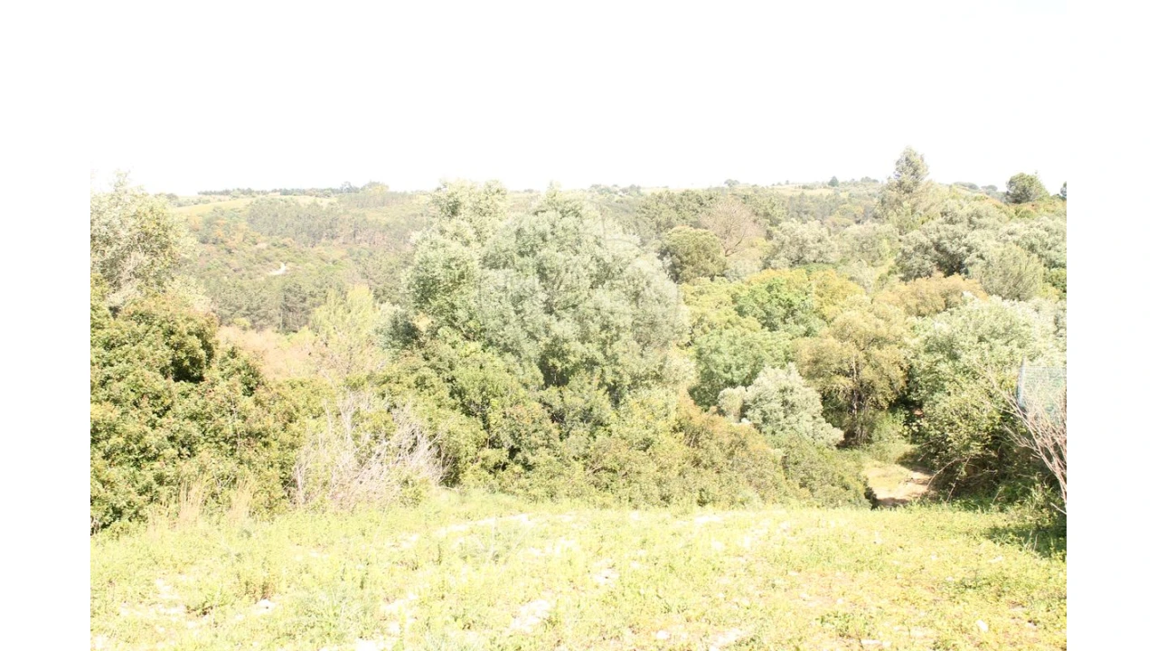 Terreno para Venda em Aveiras de Baixo Foto 7