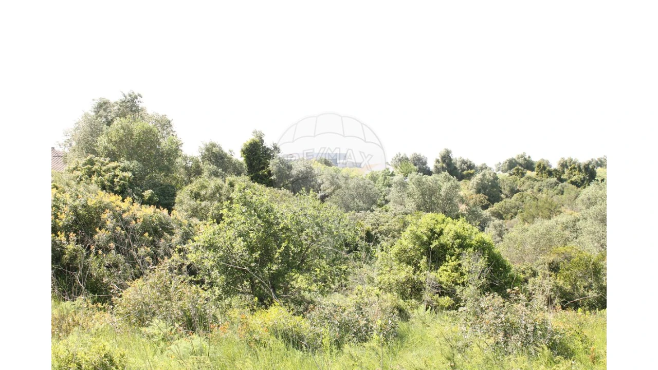 Terreno para Venda em Aveiras de Baixo Foto 15