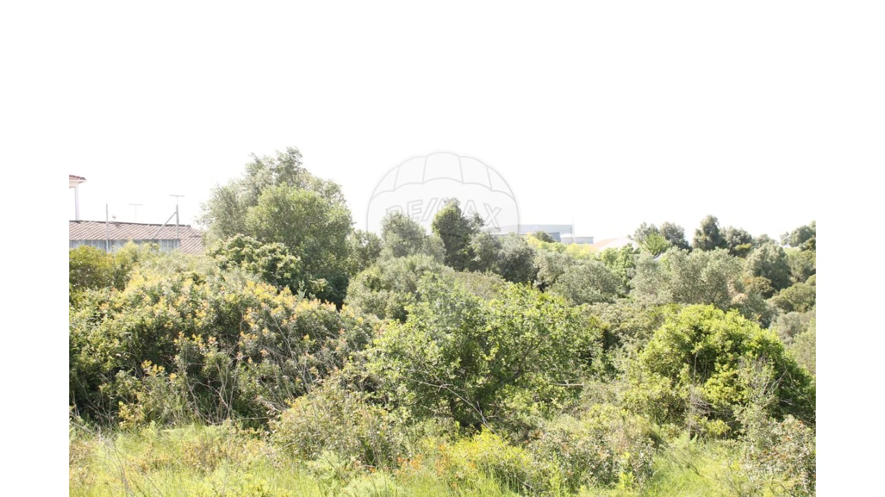 Terreno para Venda em Aveiras de Baixo Foto 16