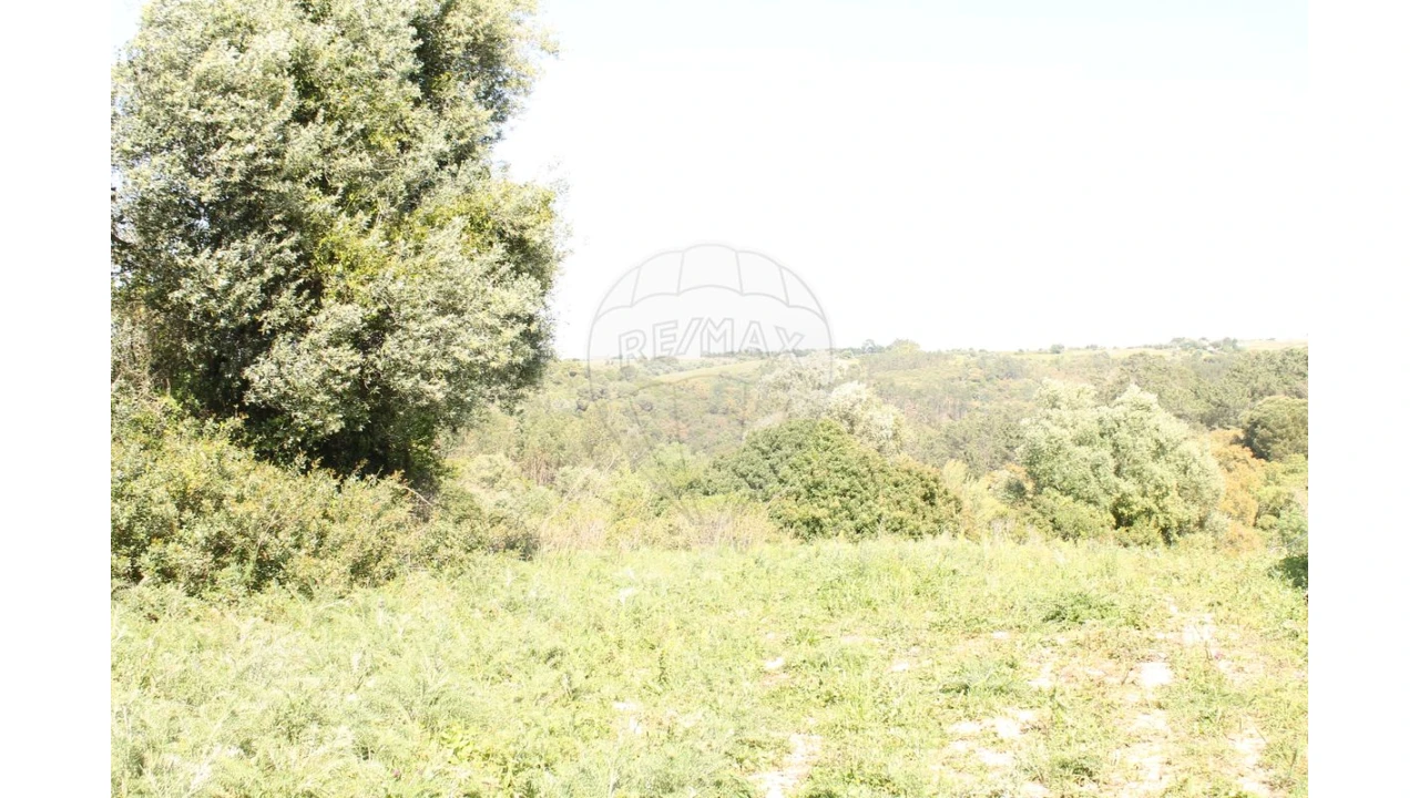 Terreno para Venda em Aveiras de Baixo Foto 4