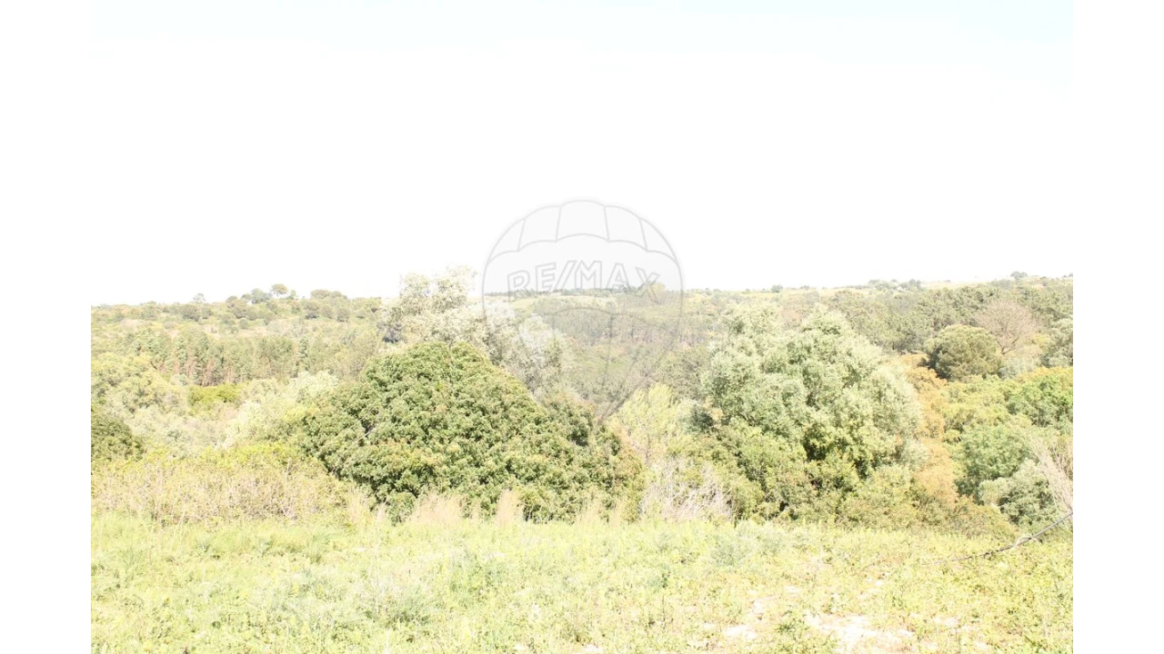 Terreno para Venda em Aveiras de Baixo Foto 5