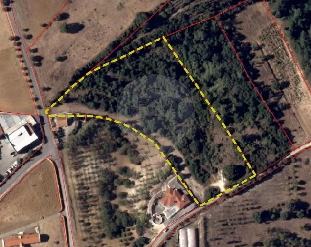 Terreno para Venda em Aveiras de Baixo Foto 25