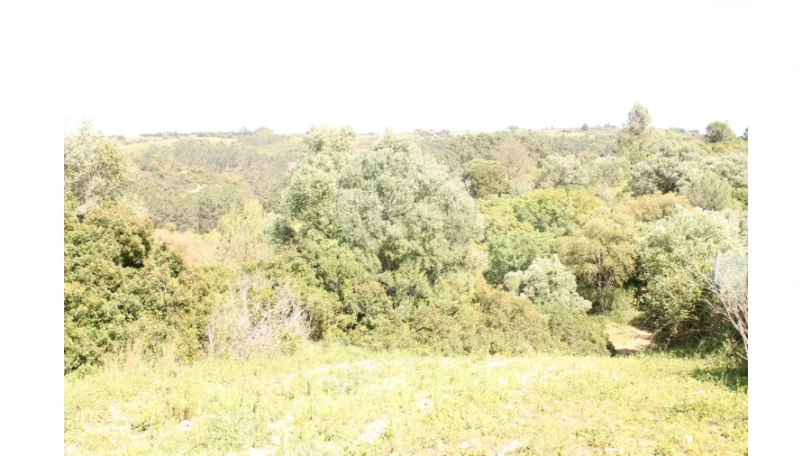Terreno para Venda em Aveiras de Baixo Foto 7
