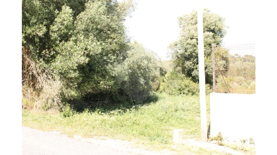Terreno para Venda em Aveiras de Baixo Foto 3