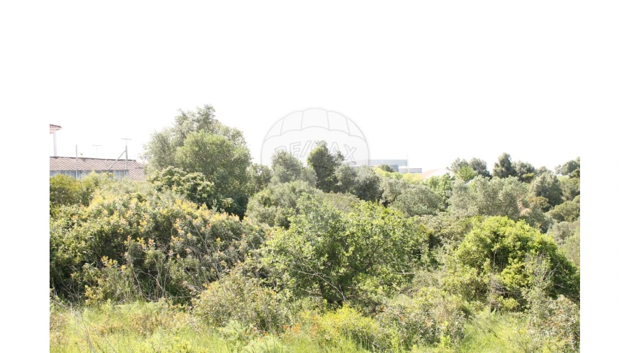 Terreno para Venda em Aveiras de Baixo Foto 16