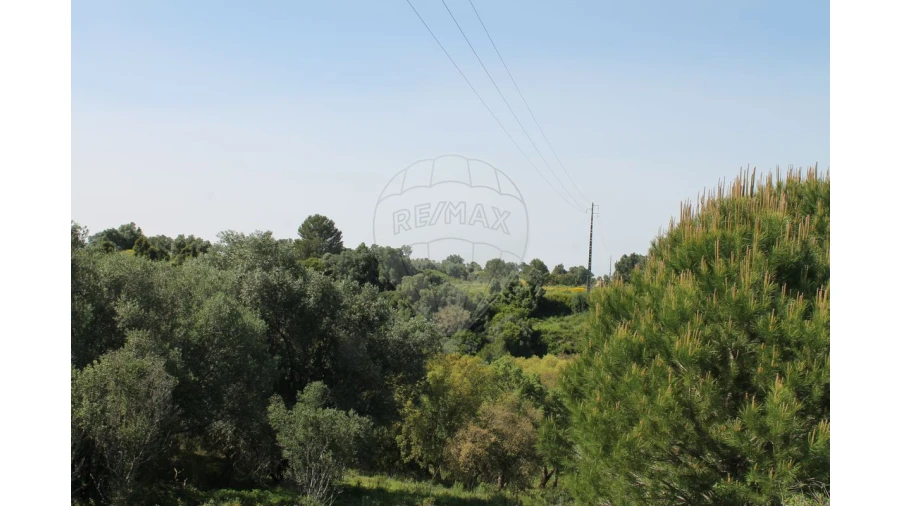 Terreno para Venda em Aveiras de Baixo Foto 23