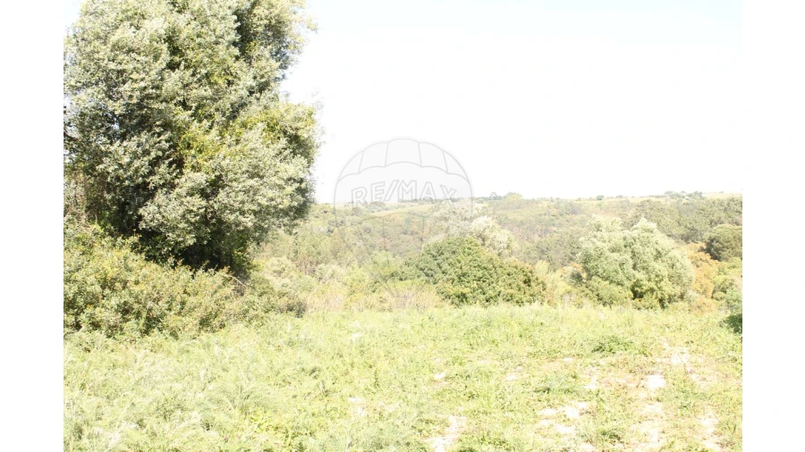 Terreno para Venda em Aveiras de Baixo Foto 4