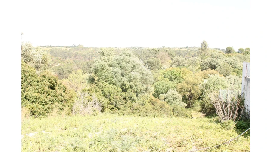 Terreno para Venda em Aveiras de Baixo Foto 6