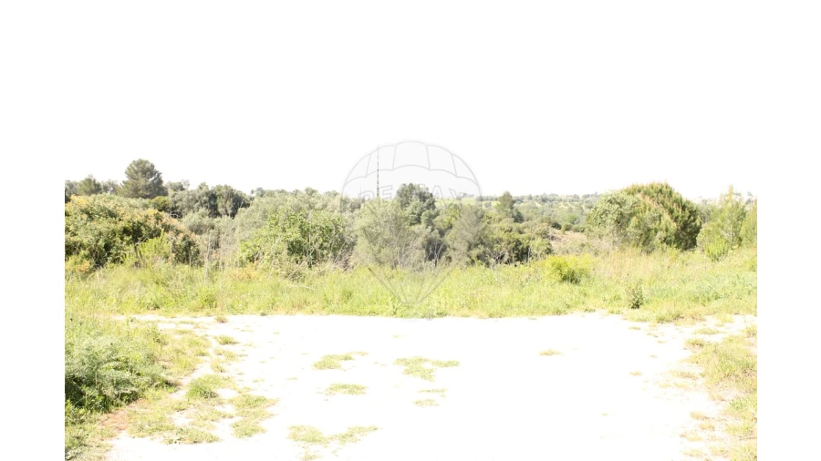 Terreno para Venda em Aveiras de Baixo Foto 11