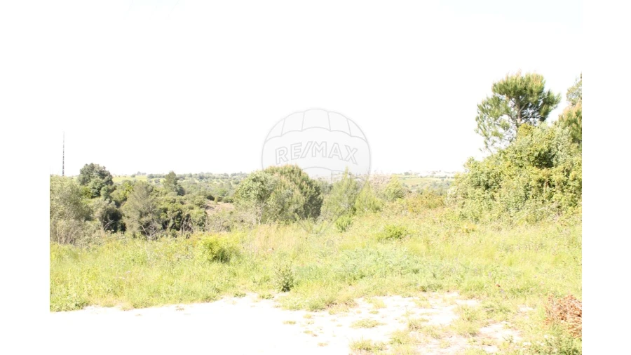 Terreno para Venda em Aveiras de Baixo Foto 12