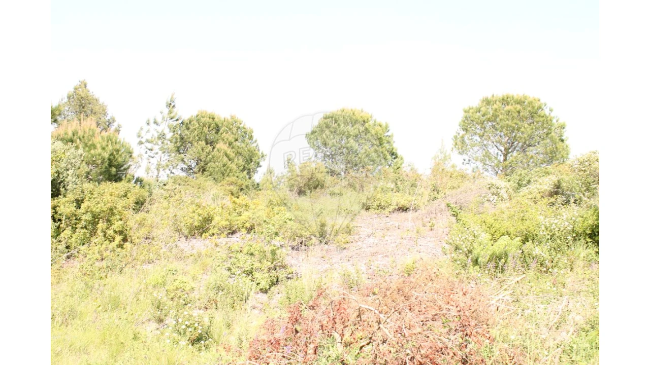 Terreno para Venda em Aveiras de Baixo Foto 13