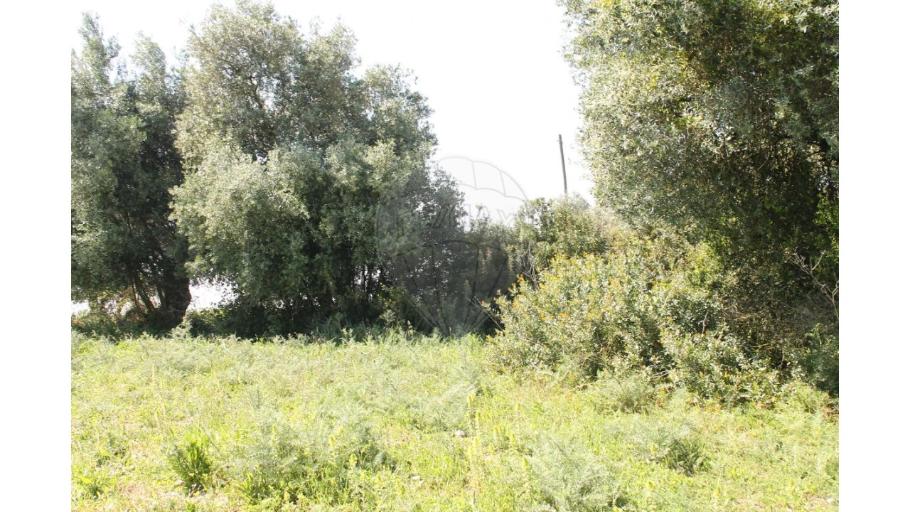 Terreno para Venda em Aveiras de Baixo Foto 9