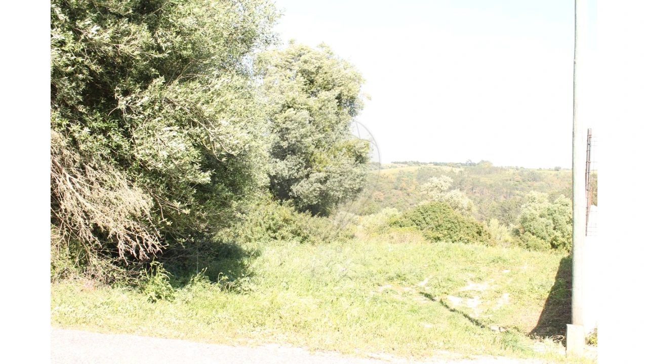 Terreno para Venda em Aveiras de Baixo Foto 2