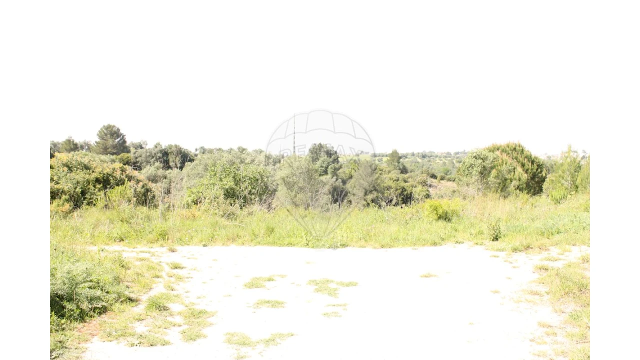 Terreno para Venda em Aveiras de Baixo Foto 11