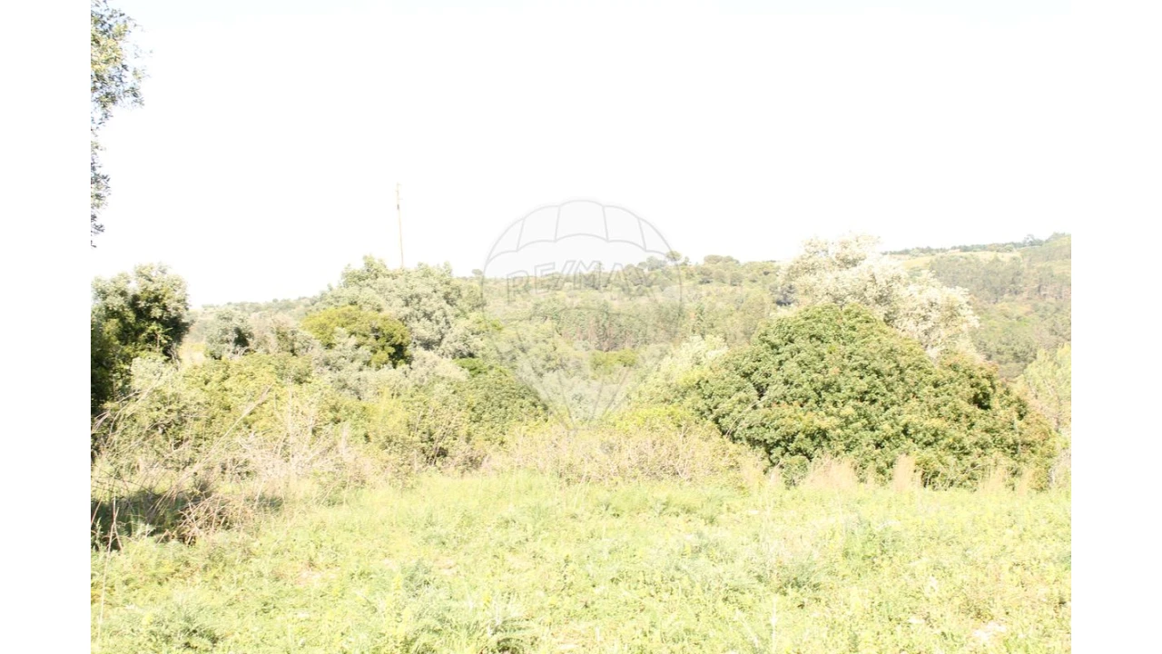 Terreno para Venda em Aveiras de Baixo Foto 1