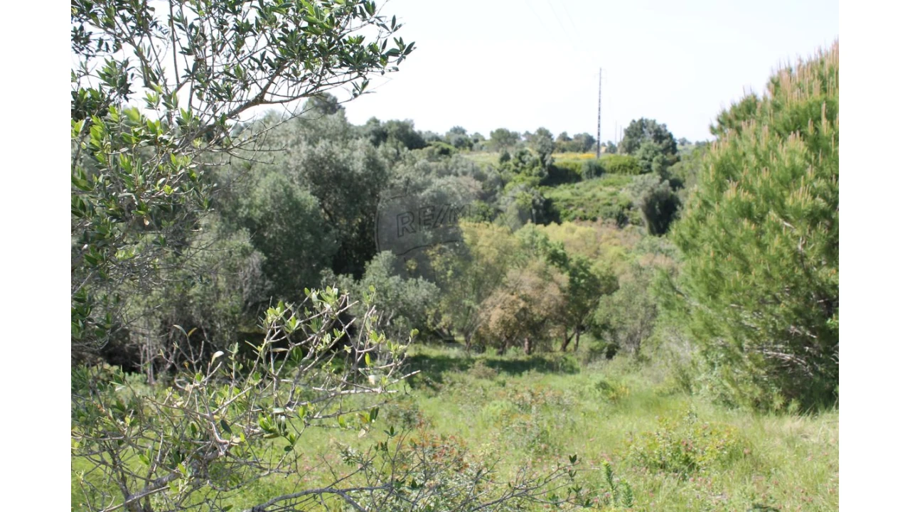 Terreno para Venda em Aveiras de Baixo Foto 19