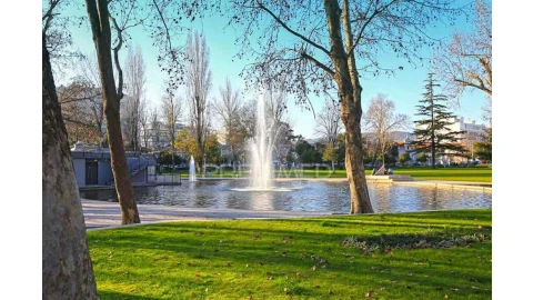 Terreno para Venda em Gambia-Pontes-Alto da Guerra