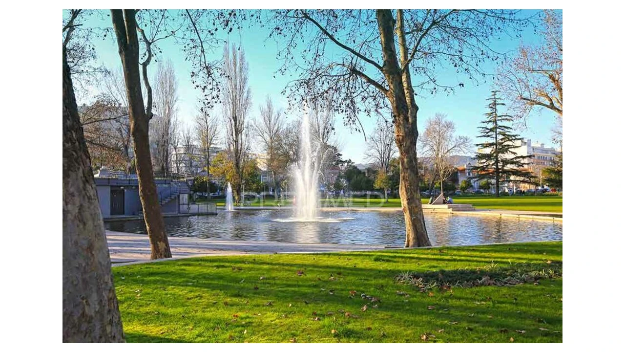 Terreno para Venda em Gambia-Pontes-Alto da Guerra Foto 1