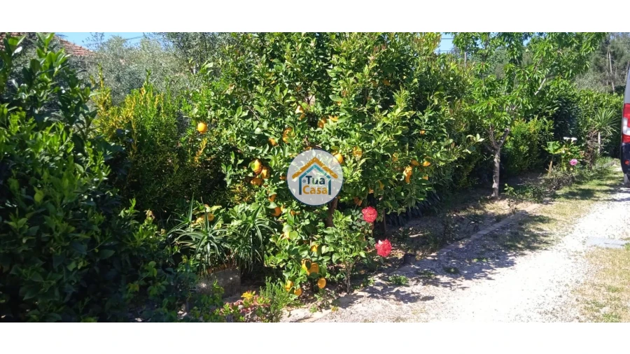 Moradia T3 para Venda em Ourentã Foto 73