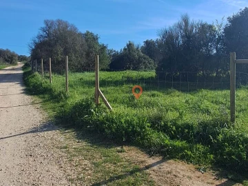 Terreno para Venda em Barão de São Miguel
