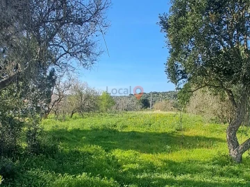 Terreno para Venda em Barão de São Miguel