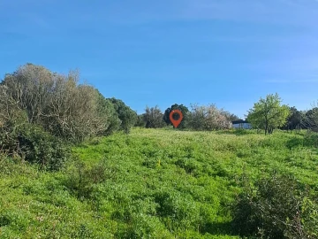 Terreno para Venda em Barão de São Miguel