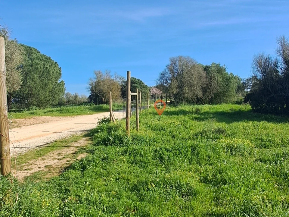 Terreno para Venda em Barão de São Miguel Foto 7