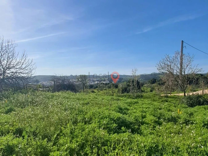 Terreno para Venda em Barão de São Miguel Foto 4