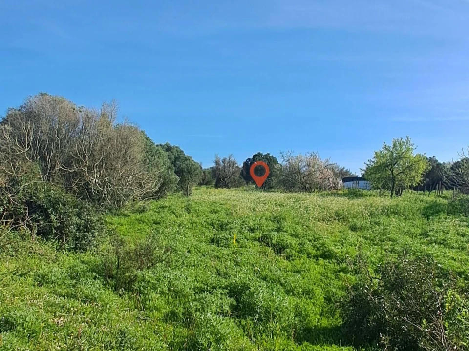 Terreno para Venda em Barão de São Miguel Foto 1