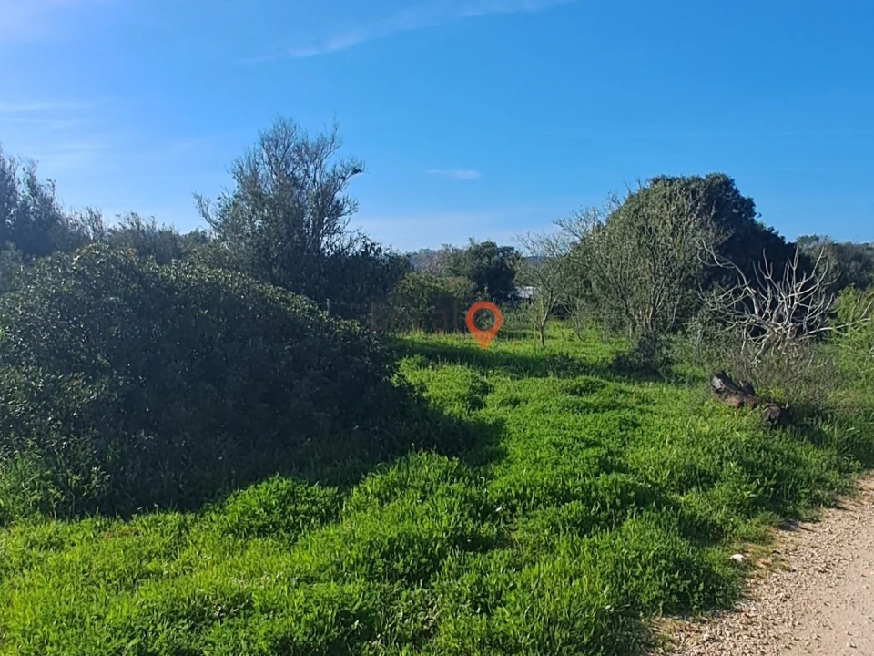 Terreno para Venda em Barão de São Miguel Foto 5