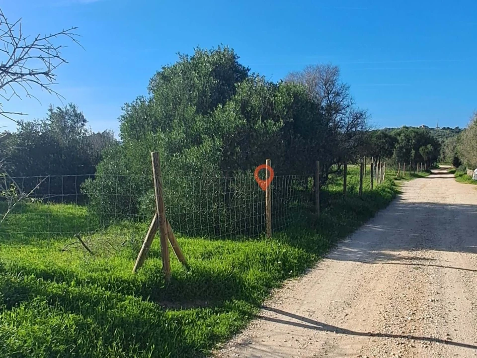 Terreno para Venda em Barão de São Miguel Foto 9