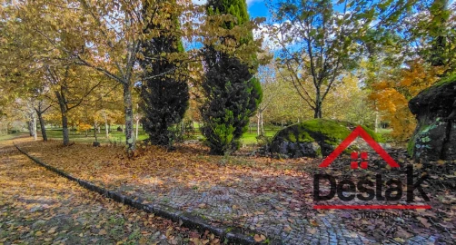 Quinta T0 para Venda em Bodiosa