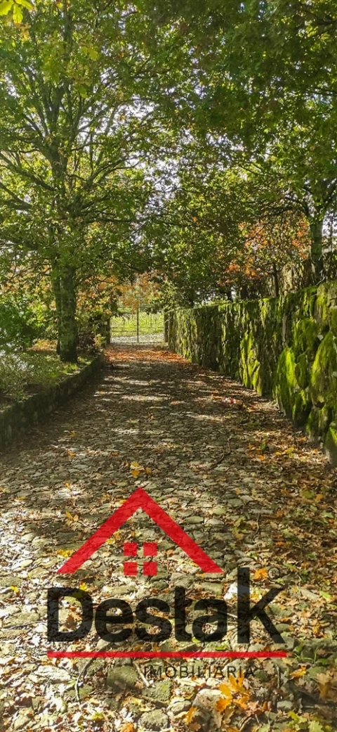 Quinta T0 para Venda em Bodiosa