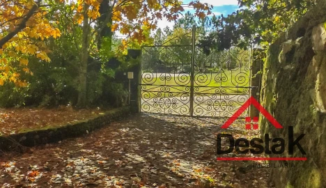 Quinta T0 para Venda em Bodiosa