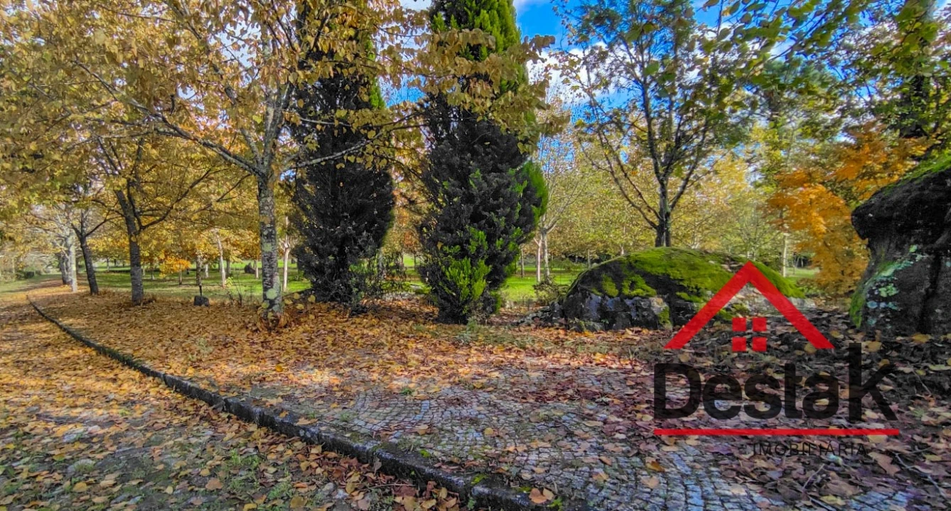 Quinta T0 para Venda em Bodiosa Foto 20