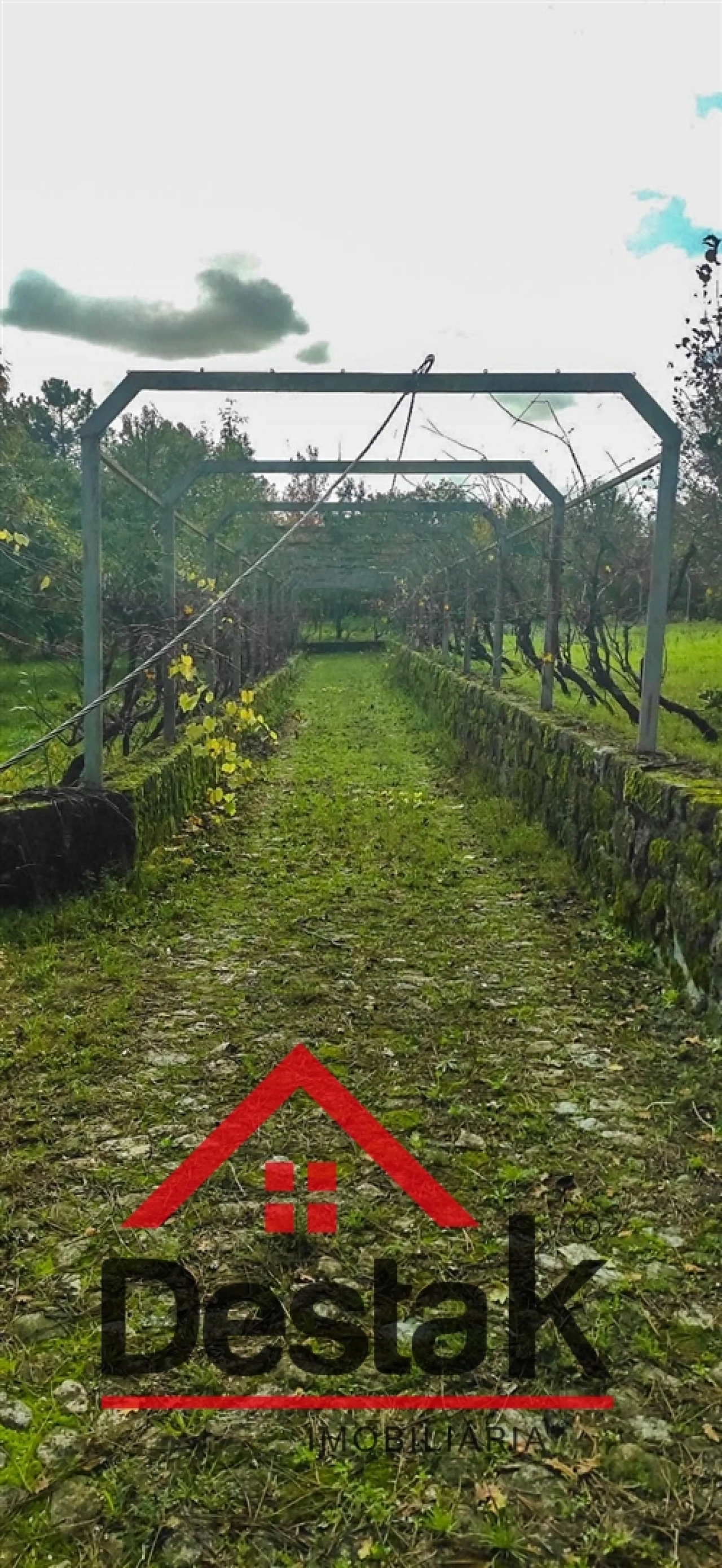 Quinta T0 para Venda em Bodiosa Foto 13