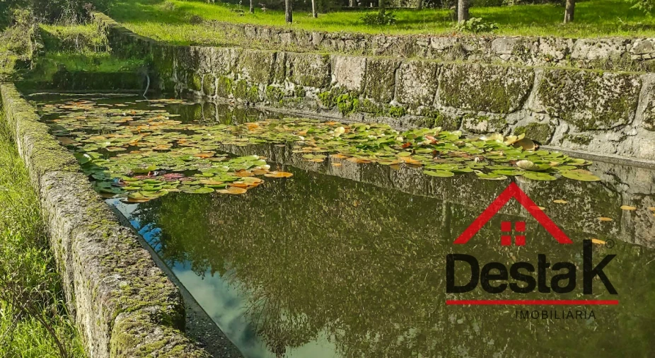 Quinta T0 para Venda em Bodiosa Foto 15