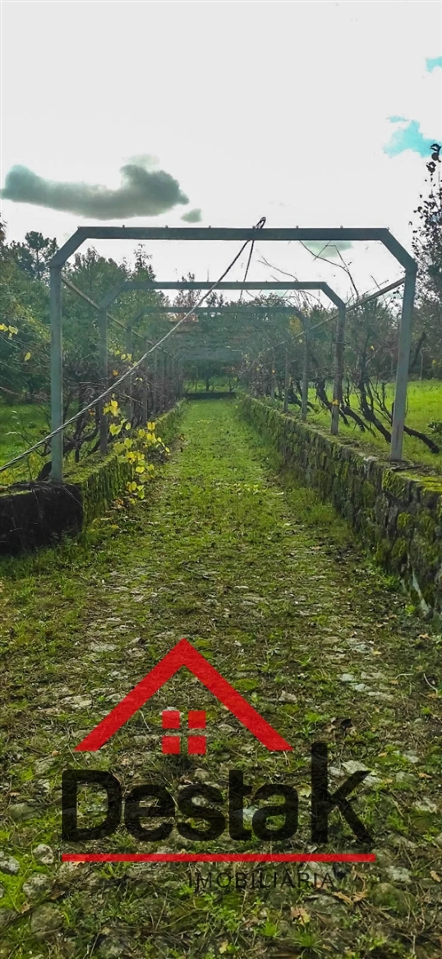 Quinta T0 para Venda em Bodiosa Foto 13