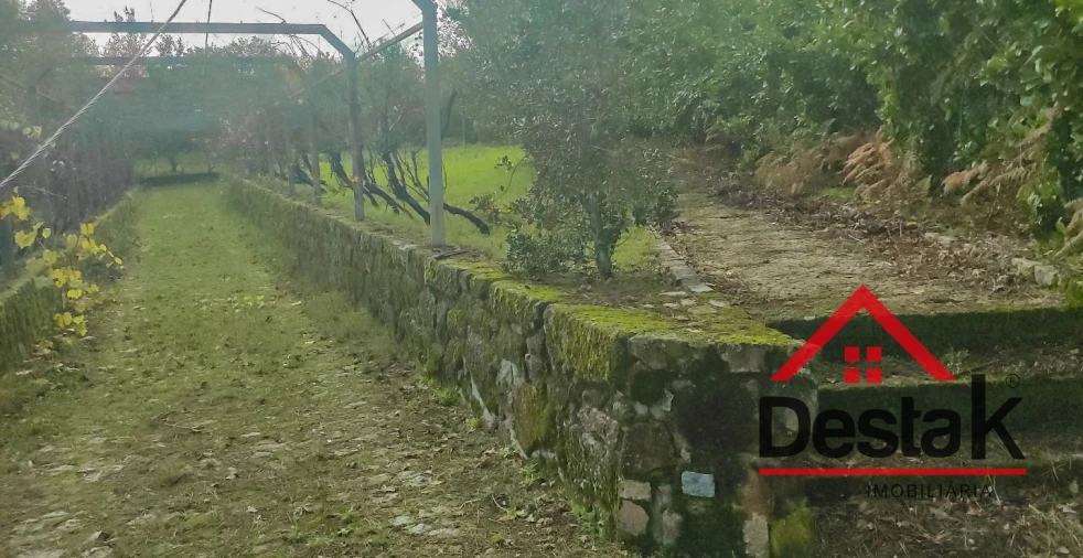 Quinta T0 para Venda em Bodiosa Foto 6