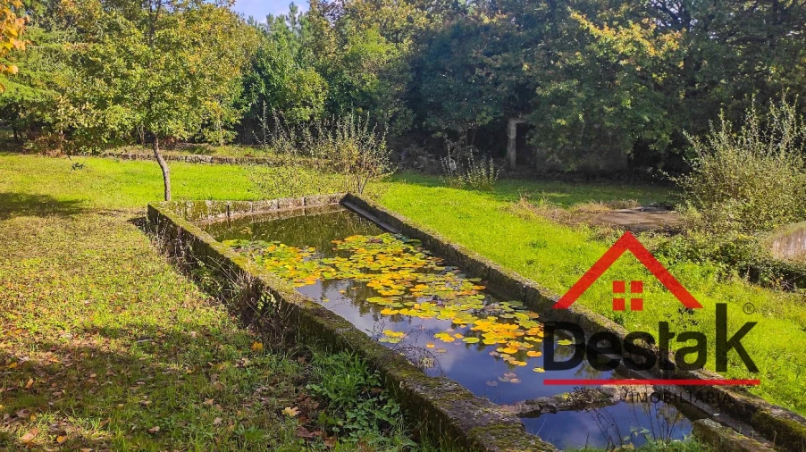Quinta T0 para Venda em Bodiosa Foto 11