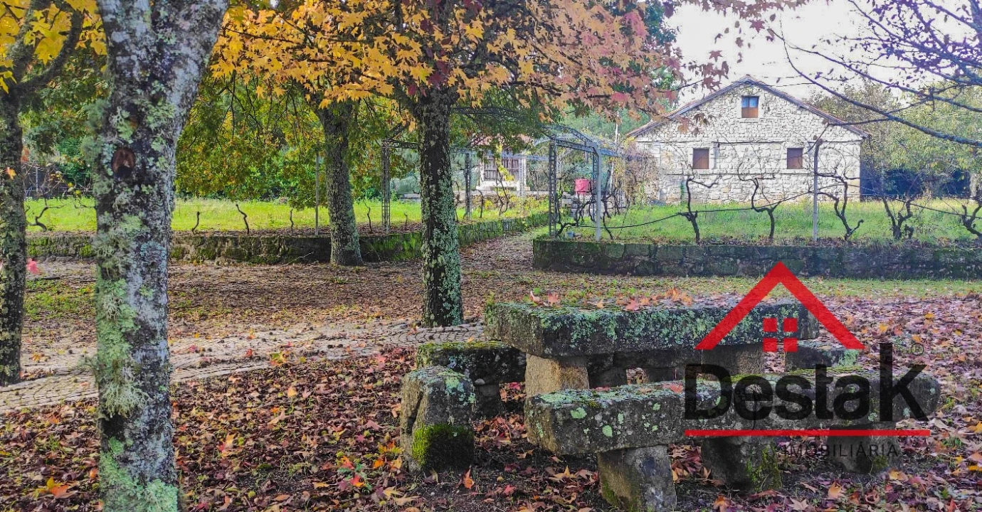 Quinta T0 para Venda em Bodiosa Foto 5