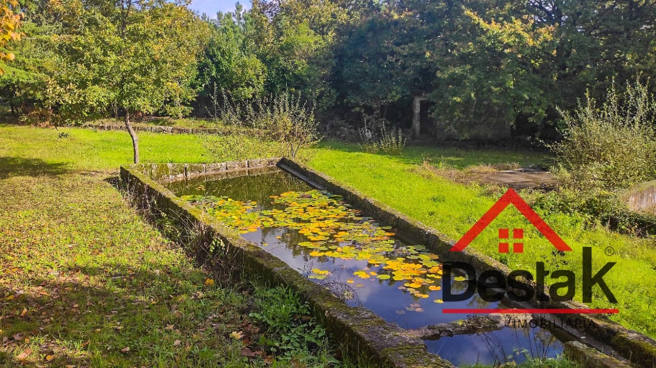 Quinta T0 para Venda em Bodiosa Foto 11